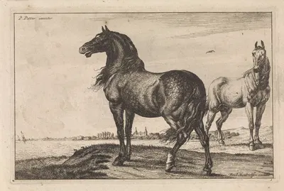 Hinnikend paard Paarden by Паулус Поттер, 1652-1702 — digital art print download