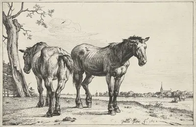 Twee ploegpaarden Paarden by Паулус Поттер, 1652 — digital art print download