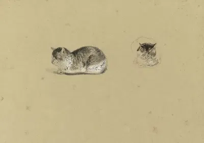 Liggende kat by Рейньер Крейвангер, 1822-1880 — digital art print download