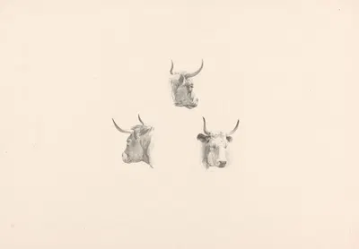 Drie ossekoppen by Роэлоф ван дер Мейлен, 1820-1833 — digital art print download