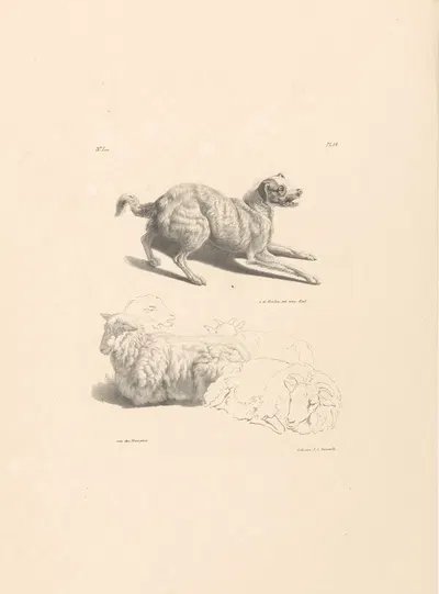 Hond en schapen by Roelof van der Meulen, 1820-1833 — digital art print download
