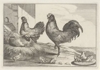 A cock, chicken, hen, and six chicks in a farmyard by Венцеслав Голлар, 1654 — digital art print download