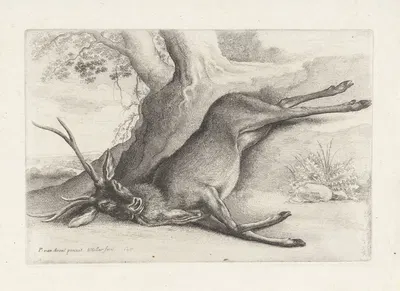 A dead stag lying in a wooded landscape by Венцеслав Голлар, 1646 — digital art print download