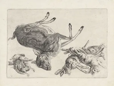Dead deer lying on its right side, two dead hares and two snipes at right, three dead birds at left by Венцеслав Голлар,…