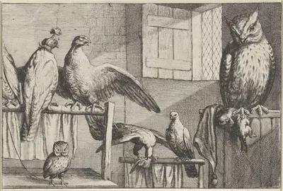 Inside a brickwalled room with an open window, several captive birds rest on wooden perches by Венцеслав Голлар, 1654 —…