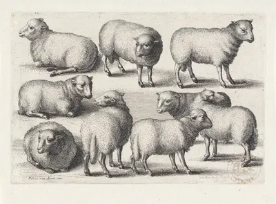 Nine sheep in a field by Венцеслав Голлар, 1646 — digital art print download