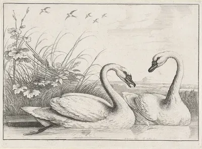 Two swans swimming, with an old fishing weir on the river bank at left, and five swallows flying overhead by Венцеслав…