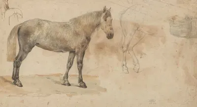 Studies van een paard by Willem Carel Nakken — digital art print download
