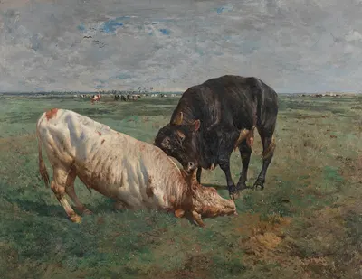 Two Young Bulls Fighting by Alfred Verwee, 1883 — digital art print download