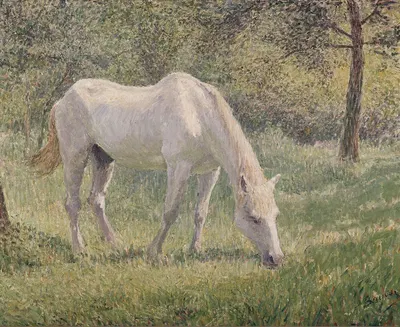 The White Horse by Жорж Бюссе — digital art print download
