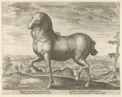 Brito by Jan Collaert the Elder, 1578 - 1582 — digital art print download