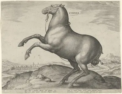 Cimber. by Jan Collaert the Elder, 1578 - 1582 — digital art print download