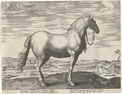 Insuber. by Jan Collaert the Elder, 1578 - 1582 — digital art print download