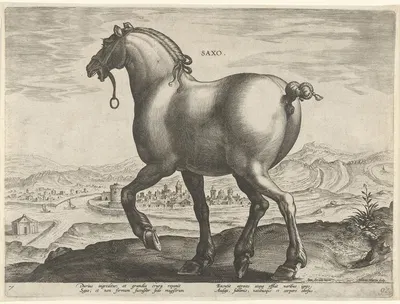 Saxo. by Jan Collaert the Elder, 1578 - 1582 — digital art print download