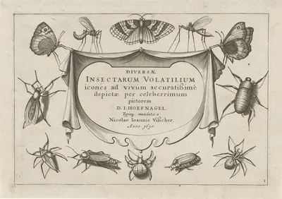 Diversae Insectarum Volatilium Pl.01 by Jacob Hoefnagel, 1630 — digital art print download