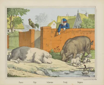 Pigs by Joseph Scholz, 1829 - 1880 — digital art print download