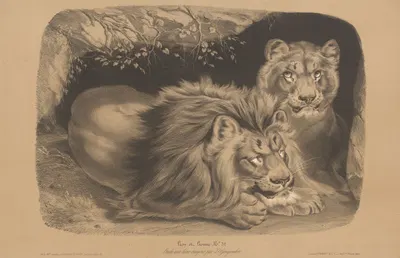 Lion et Lionne by Joseph Zephyris Gengembre, 1850-1870 — digital art print download