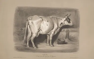 Vache by Joseph Zephyris Gengembre, 1850-1870 — digital art print download