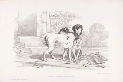 Chiens de meute by Martinus Antonius Kuytenbrouwer jr., 1860 — digital art print download
