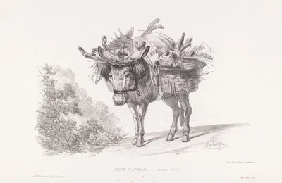 L'âne porte-Cibier by Martinus Antonius Kuytenbrouwer jr., 1860 — digital art print download