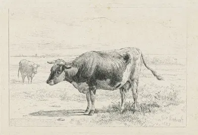 Twee koeien in een weide by Дирк Ван Локхорст, 1859 — digital art print download