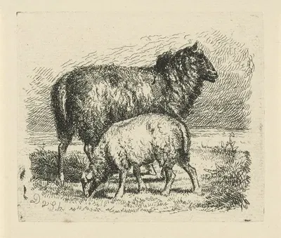 Zwart schaap met lam by Dirk Van Lokhorst — digital art print download