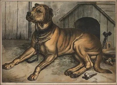 Dog by Emil Sachsse, 1884 — digital art print download