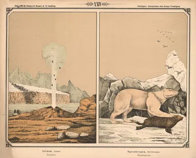 Island og Spitsbergen by Фредрик Сандберг, 1875 — digital art print download