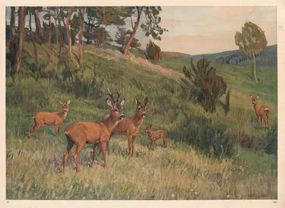 Deer in a meadow by Hans Schmidt, 1910 — digital art print download