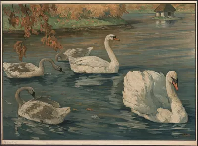 Swans by Hans Schmidt, 1910 — digital art print download