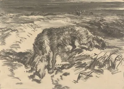 Fox Attacking a Sheep by Томас Далзил — digital art print download