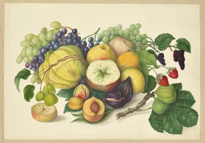 A group of different sort of fruits by Dorothea Eliza Smith, 1850-1853 — digital art print download