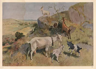 Ged by Karl Wagner, 1913 — digital art print download