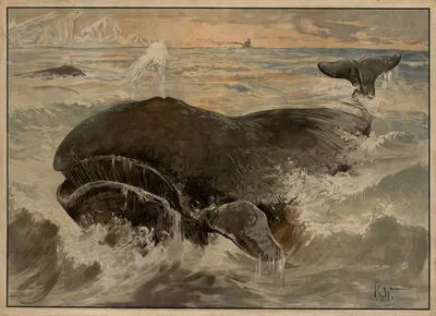 Hval by Karl Wagner, 1895 — digital art print download