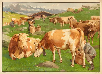 Køer på græsgang by Karl Wagner, 1906 — digital art print download