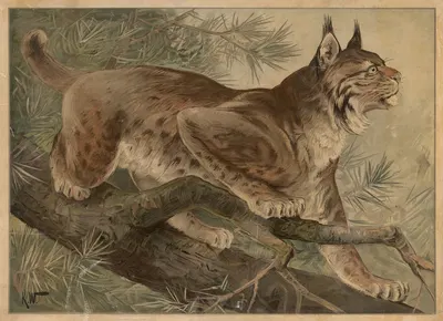 Los by Karl Wagner, 1895 — digital art print download