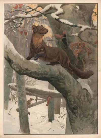 Mår by Karl Wagner, 1910 — digital art print download