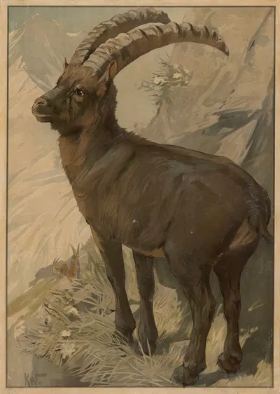 Stenbuk by Karl Wagner, 1895 — digital art print download