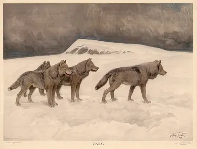 Varg by Nils Tirén, 1924 — digital art print download