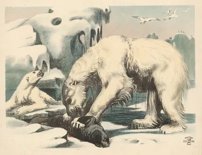 Isbjørne by Олуф Август Хермансен, 1892 — digital art print download