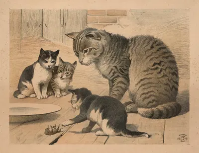 Kat by Олуф Август Хермансен, 1892 — digital art print download
