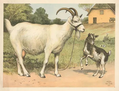 Tamged (variant) by Oluf August Hermansen, 1892 — digital art print download