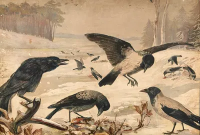 Crows and rooks by Paul Flanderky, 1910 — digital art print download
