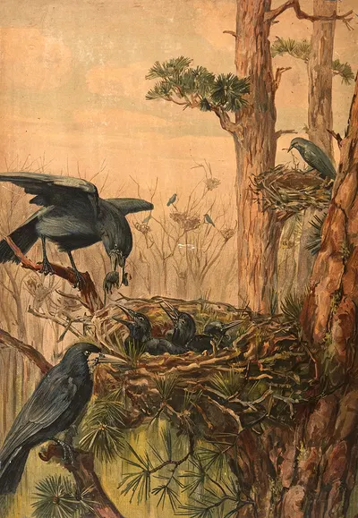 Crows by Paul Flanderky, 1906 — digital art print download