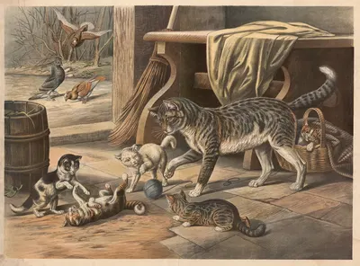House cat by Albert Kull, 1900 — digital art print download