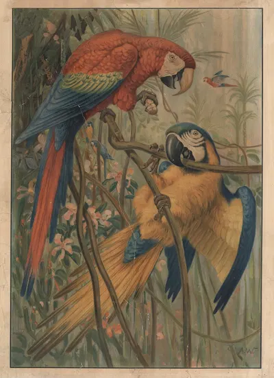 Parrot by Alfred Weczerzick, 1888 — digital art print download