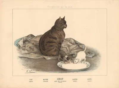Cat by Шарль-Оливье де Пенн, 1890 — digital art print download