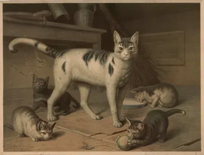 Cat by Emil Schmidt, 1882 — digital art print download