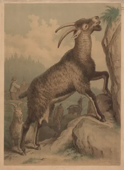 Goat by Emil Schmidt, 1882 — digital art print download