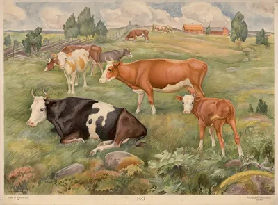 Cow by Ernst Küsel, 1920 — digital art print download
